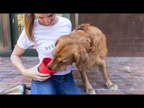 Christian Fellowship Baptist Church hosts 'Purina Care Day' today